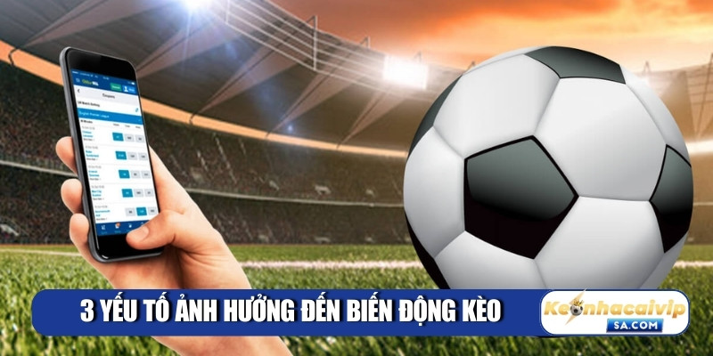 Kèo Nhà Cái 5 ⭐ Tỷ lệ kèo bóng đá trực tiếp 24/7 69 3 yếu tố ảnh hưởng đến biến động kèo