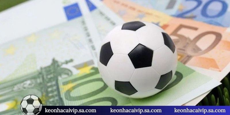 Mẹo chọn giải đấu trước khi cược rung