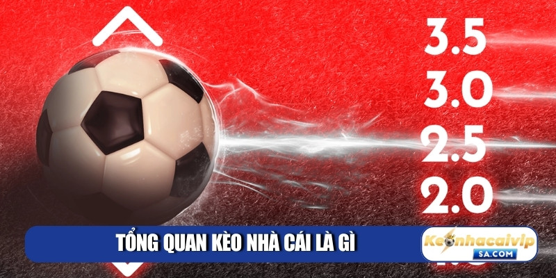 Tổng quan kèo nhà cái là gì Tổng quan kèo nhà cái là gì